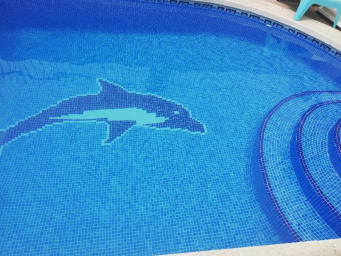 Piso entero en semi sótano con Piscina salína privada San Pedro del Pinatar Exterior foto